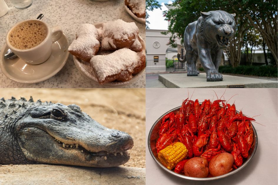 Coffee & beignets, tiger statue, alligator, crawfish