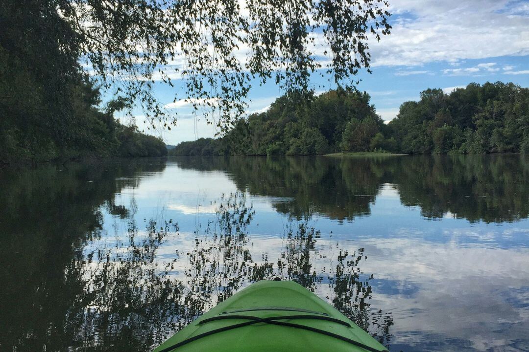 green kayak pointing at trees