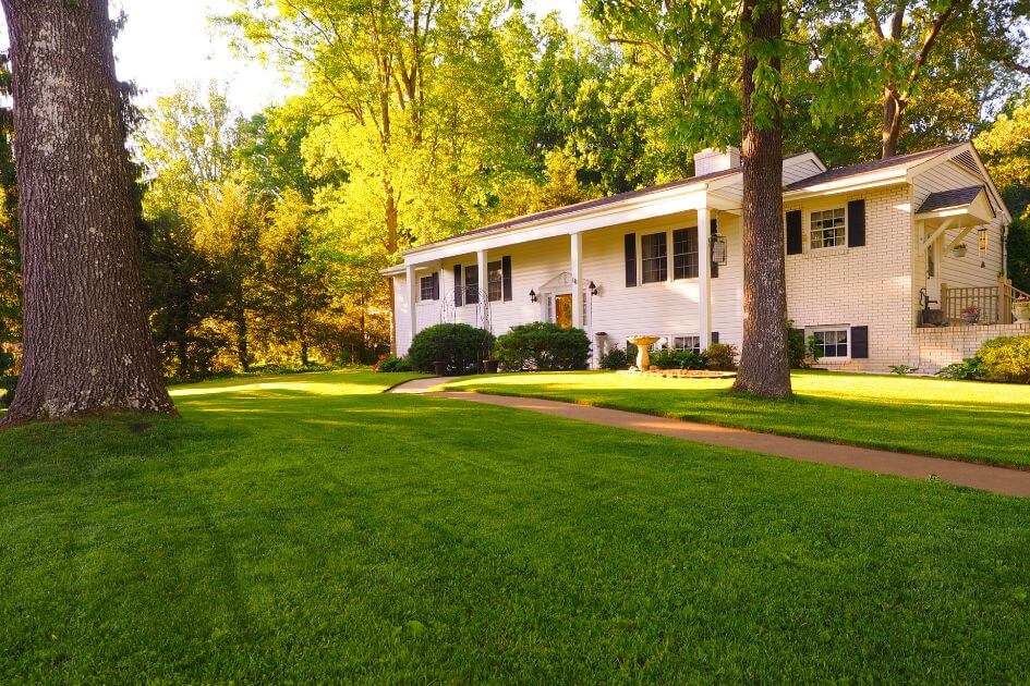Spacious yard & home exterior